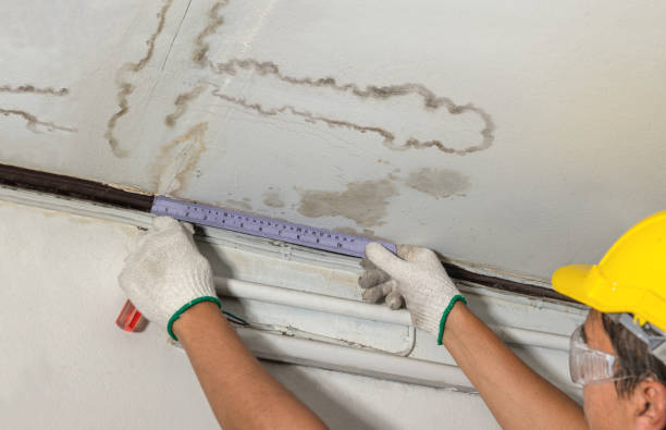 Reliable Water Damage contractor in Otter Lake, MI by Water Damage Irwin